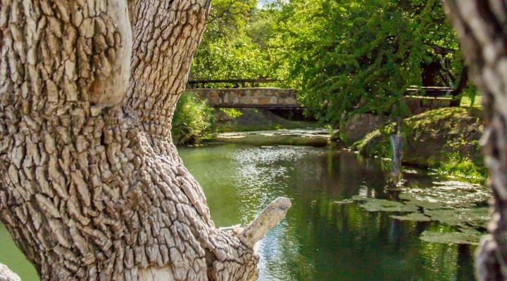 Little Bush Private Lodge