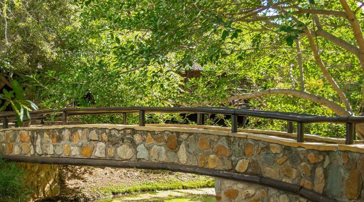 Little Bush Private Lodge