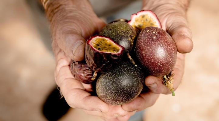 Blommekloof Country Cottages 