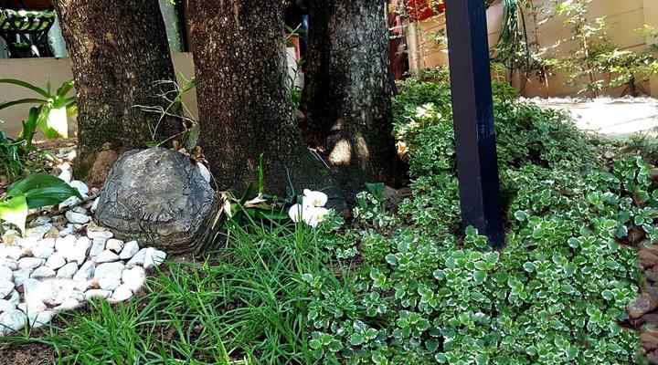 Sunshine Self-catering Guesthouse