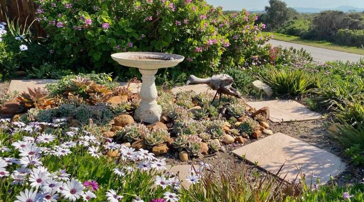 i-Lollo Lodge, River-front Accomodation