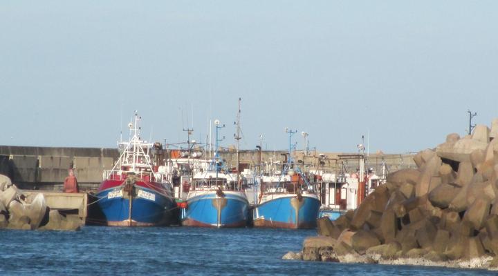 i-Lollo Lodge, River-front Accomodation