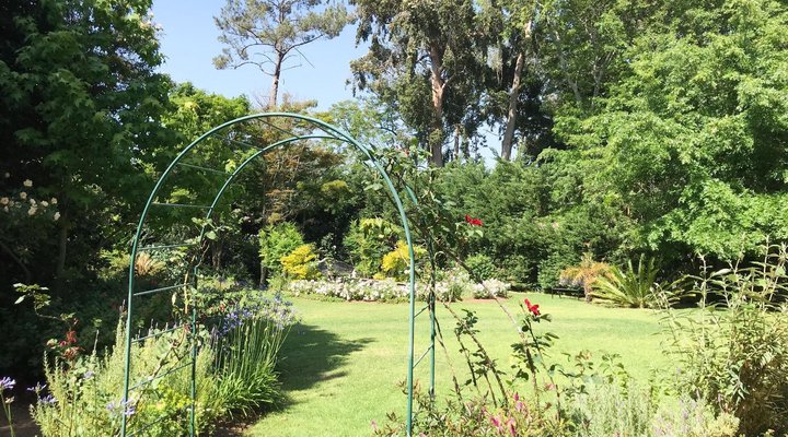 Klein Bosheuwel Guest House