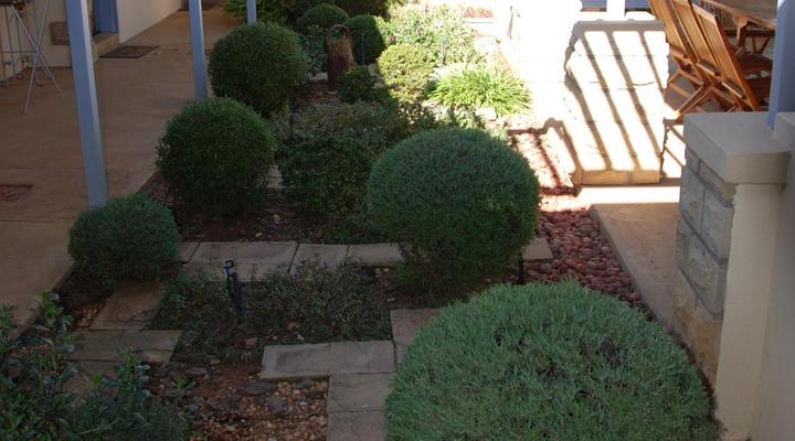 Sandstone Chameleon Guest House