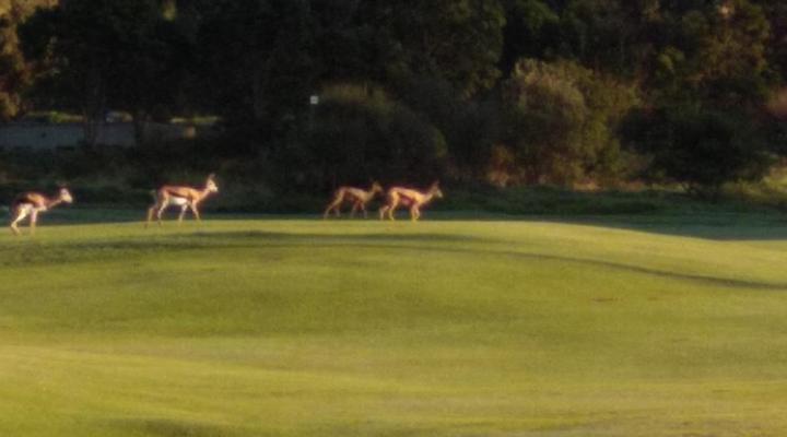 Mulligans Guest Lodge