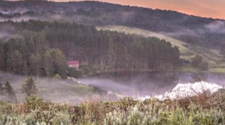 Pavetta Country House