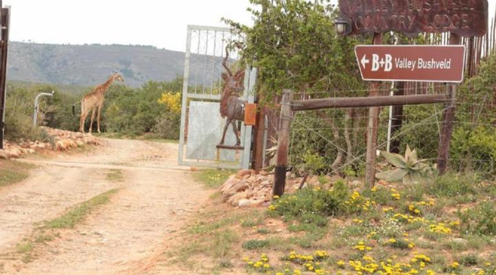Valley Bushveld Country Lodge