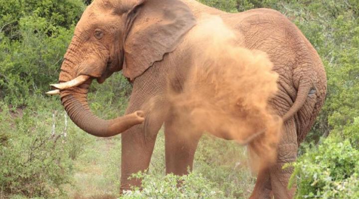 Valley Bushveld Country Lodge