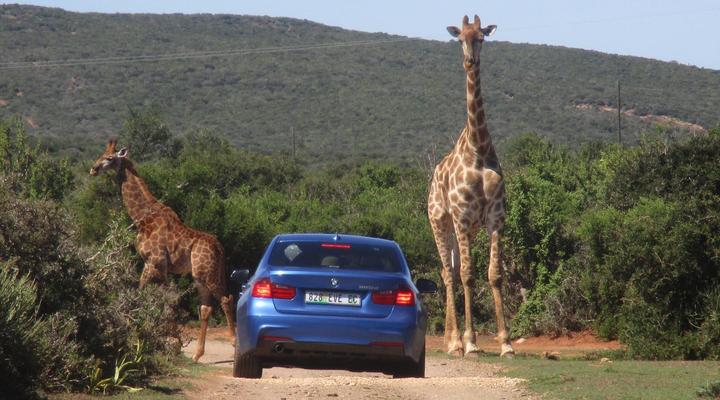 Valley Bushveld Country Lodge