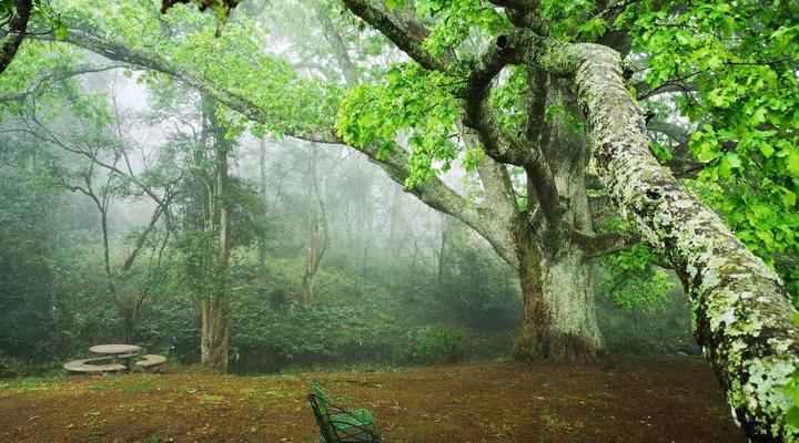 Mount Park Guest Farm