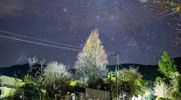 Mount Park Guest Farm