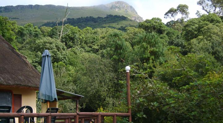 Mount Park Guest Farm