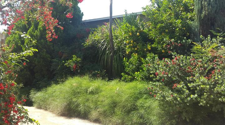 A Mountain View Country Estate