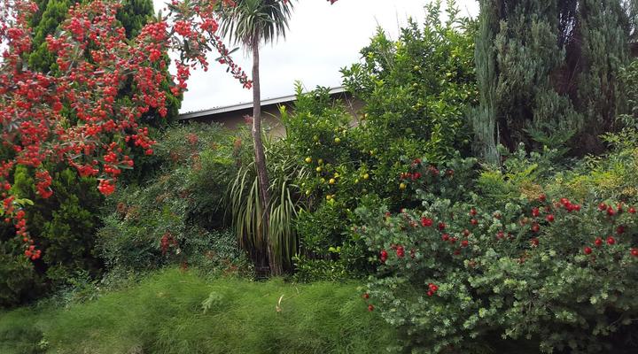 A Mountain View Country Estate