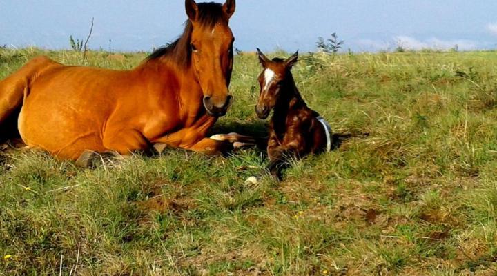 Drakensberg Mountain Retreat