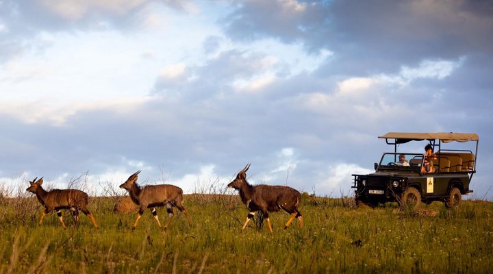 Swartberg Private Game Lodge