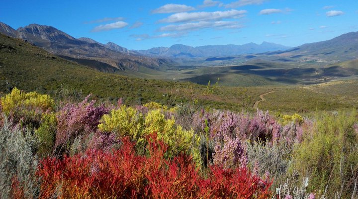 Swartberg Private Game Lodge