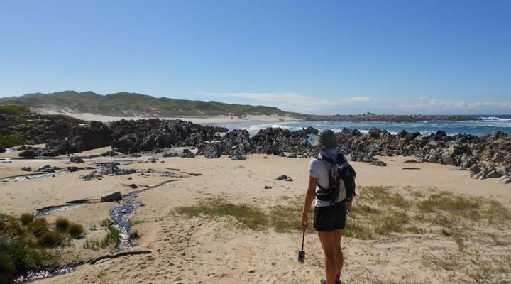 Cape St Francis Collection