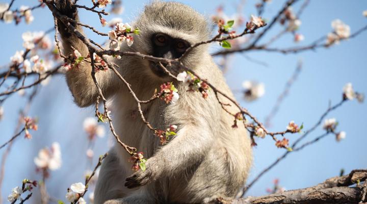 Twin Rivers Bed and Breakfast