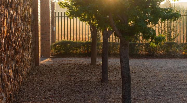 Twin Rivers Bed and Breakfast