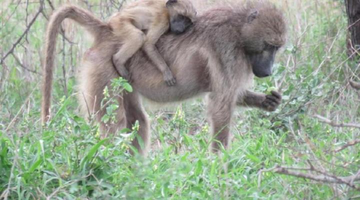 Bushmans Gorge Lodge
