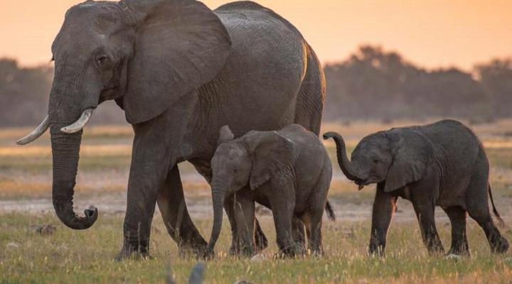Bushmans Gorge Lodge
