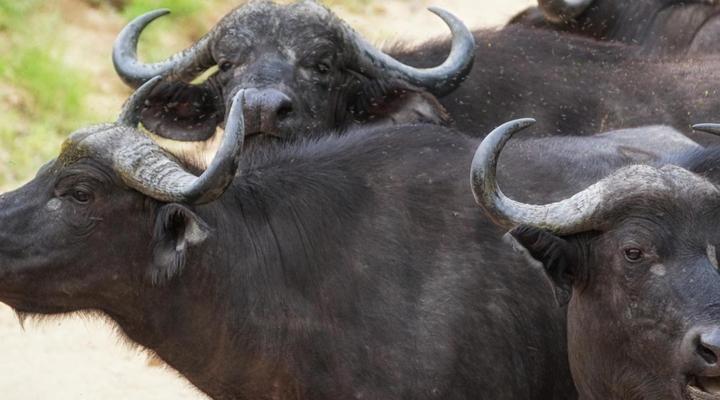 Bushmans Gorge Lodge