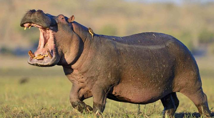 Bushmans Gorge Lodge