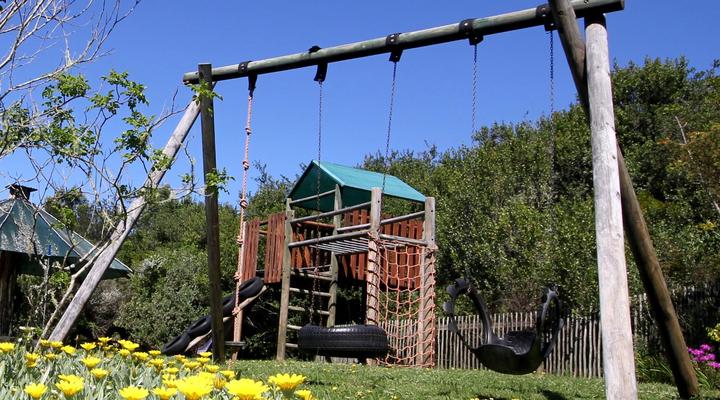 Moon Shine on Whiskey Creek