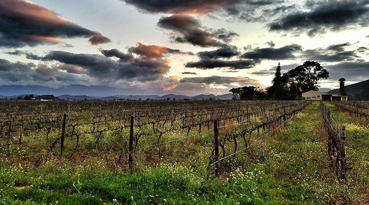 Bonnievale River Lodge