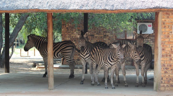 a Zaganaga Kruger Lodge