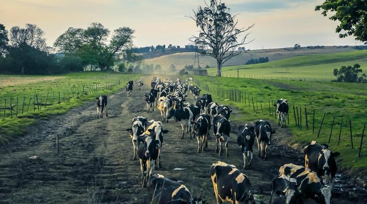 Nottingham Road Hotel