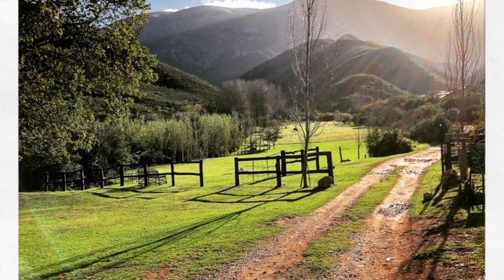 Pat Busch Mountain Reserve