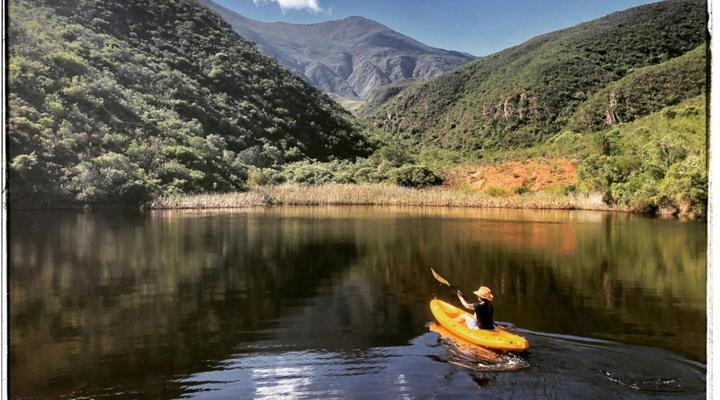 Pat Busch Mountain Reserve