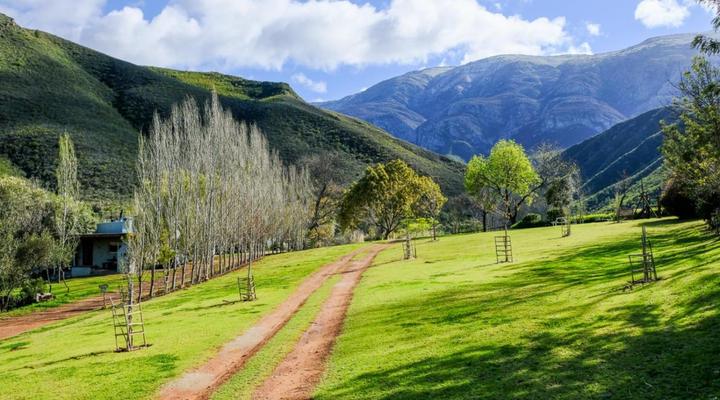 Pat Busch Mountain Reserve