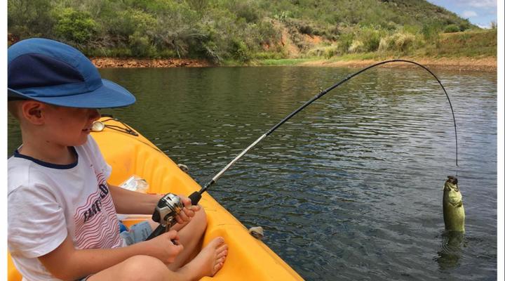 Pat Busch Mountain Reserve