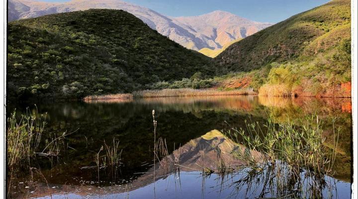 Pat Busch Mountain Reserve