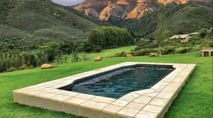 Pat Busch Mountain Reserve