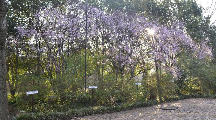 Klip River Country Estate