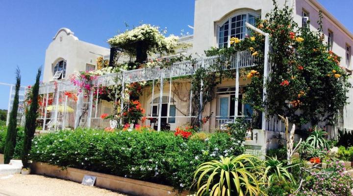 Mama Mia at Charlotte House