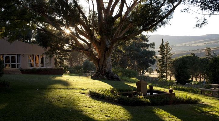 Blue Gum Country Estate