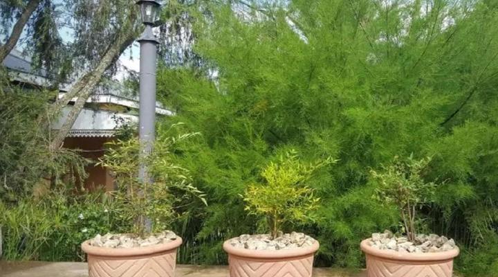 Oregon Cottage Guesthouse