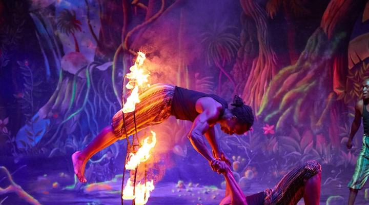 Safari Park Hotel and Casino