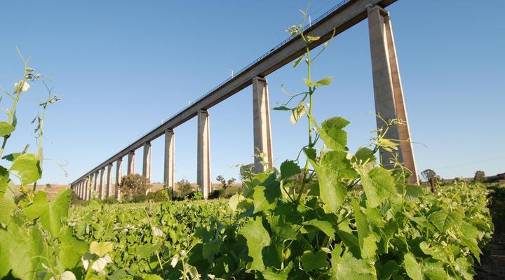 Melkboomsdrift Guest House & Conference Centre