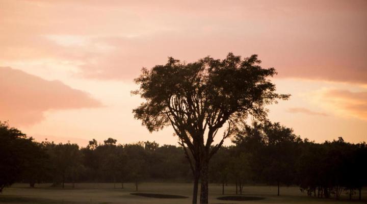 Nkonyeni Golf Estate