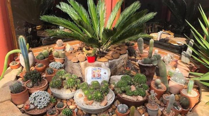 Á La Martha's Airport Guest House