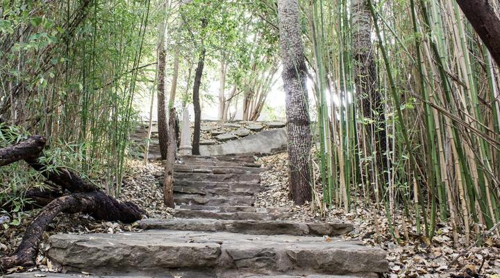 La Riviera Guest House and Spa