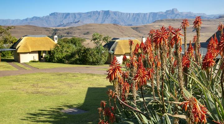 Montusi Mountain Lodge