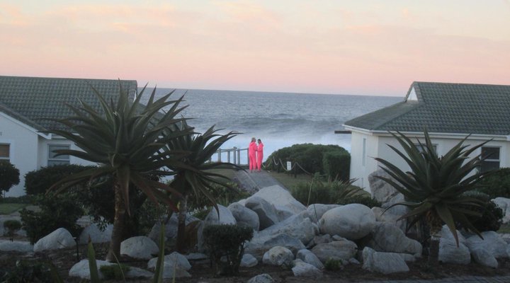 The Potting Shed Self Catering