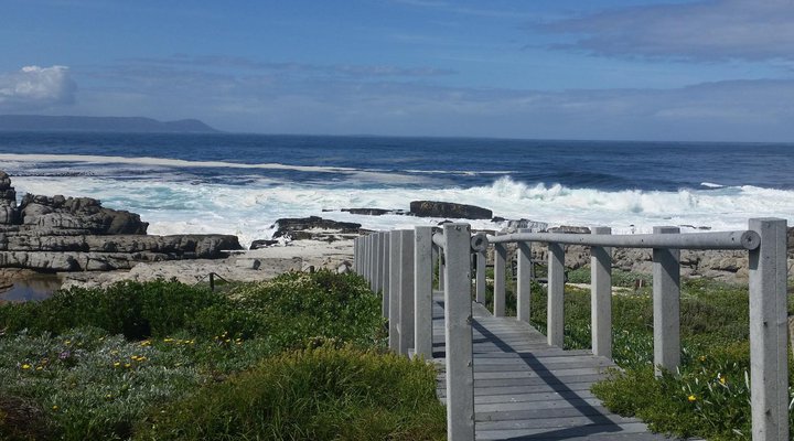 The Potting Shed Self Catering